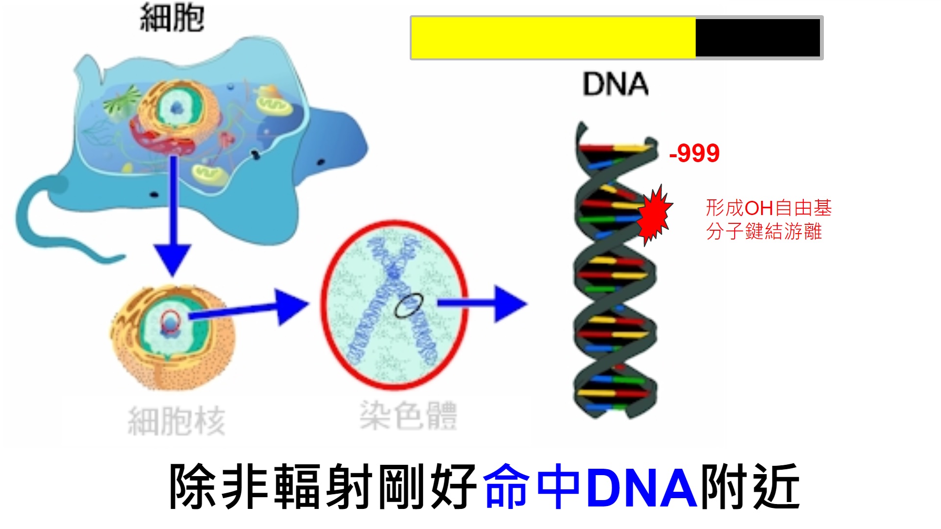 3.除非輻射剛好命中DNA附近.jpg