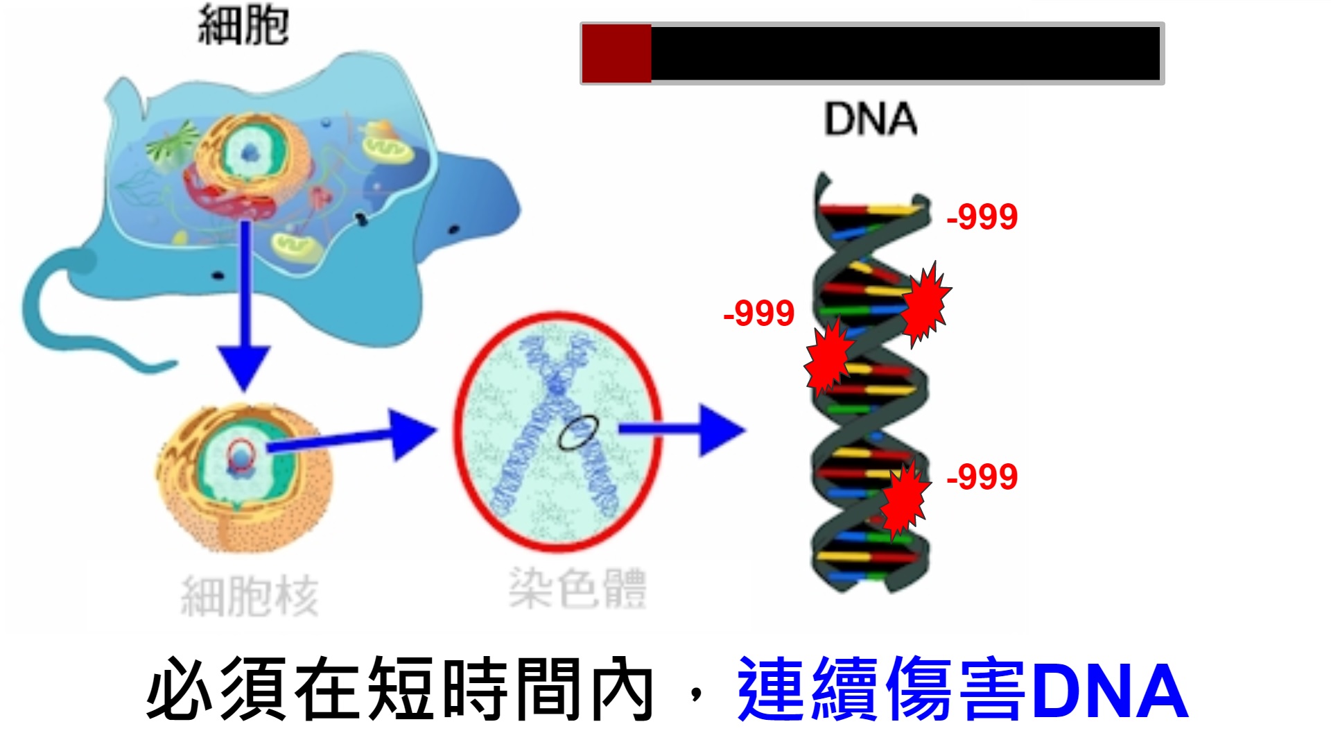 5.連續傷害DNA.jpg